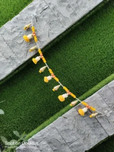 Gilded Marigold & Pearl Droplet Toran